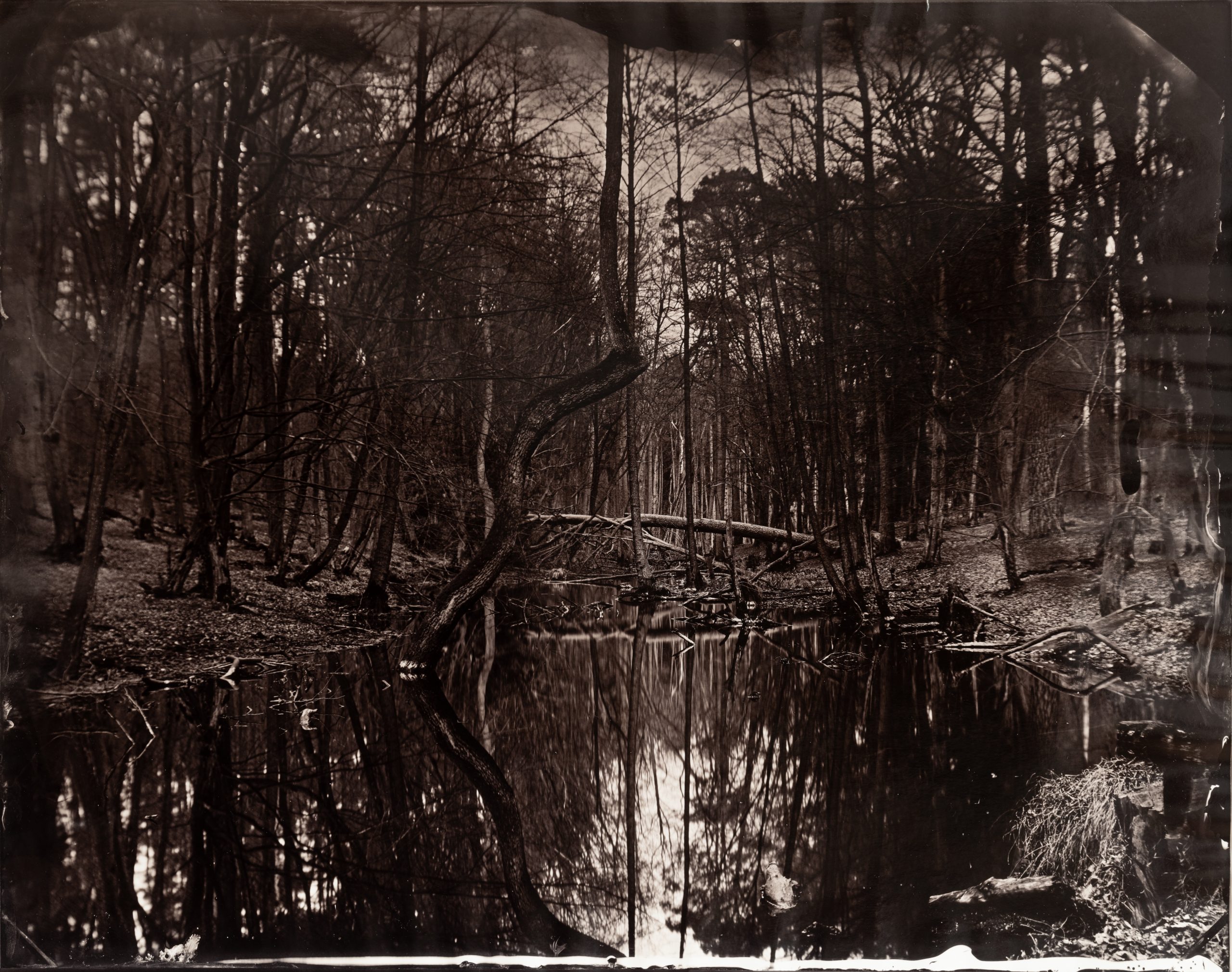 Maximilian Zeitler holocene wetplate saltprint fotogalerie friedrichshain
