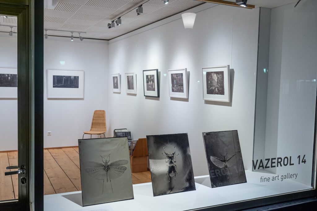 Vazerol14 Exhibition