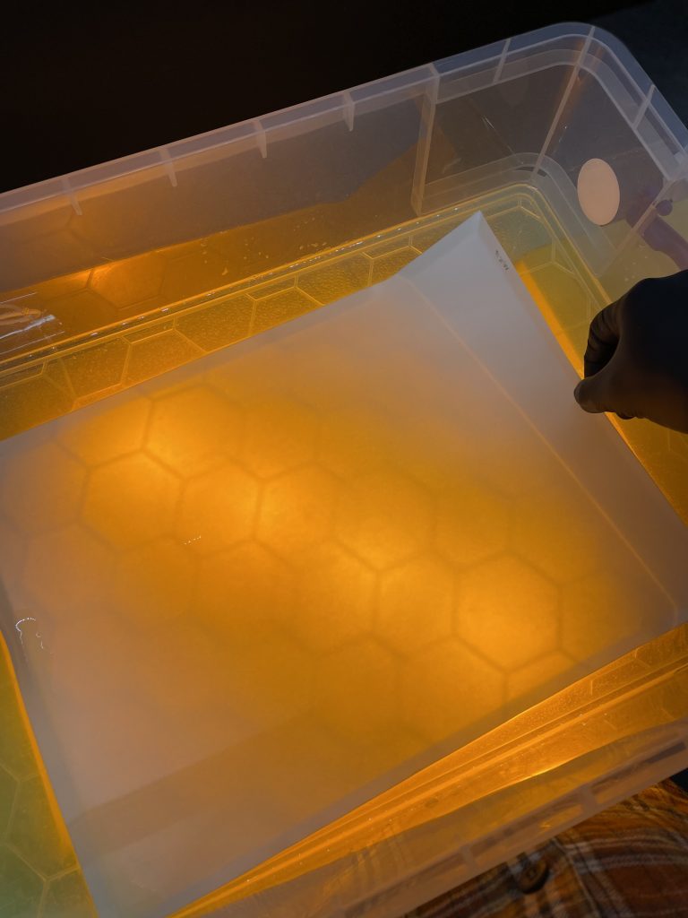 Making Albumen Paper, Berlin, Collodion, Maximilian Zeitler, Wetplate