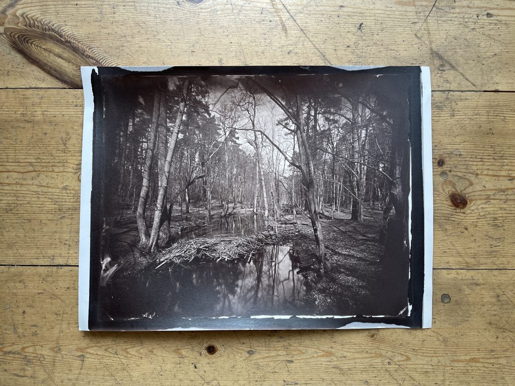 Making Albumen Paper, Berlin, Collodion, Maximilian Zeitler, Wetplate