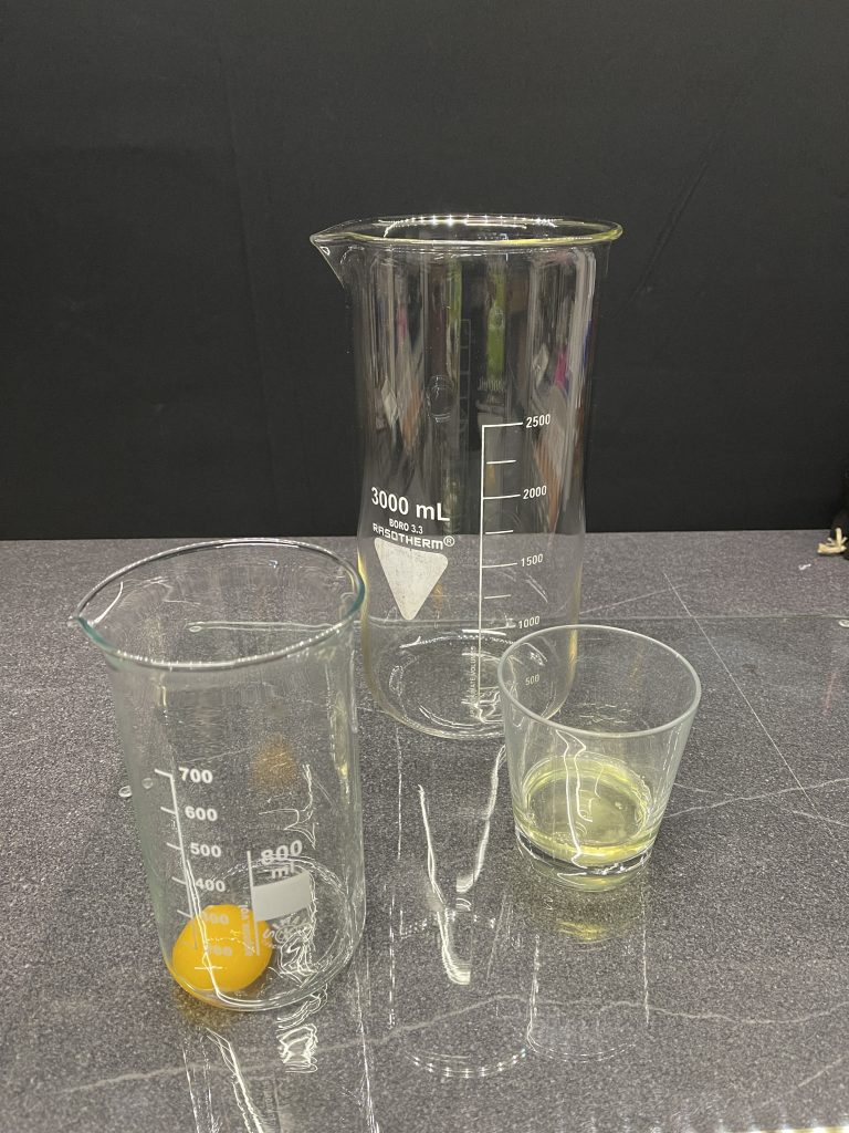 Making Albumen Paper, Berlin, Collodion, Maximilian Zeitler, Wetplate