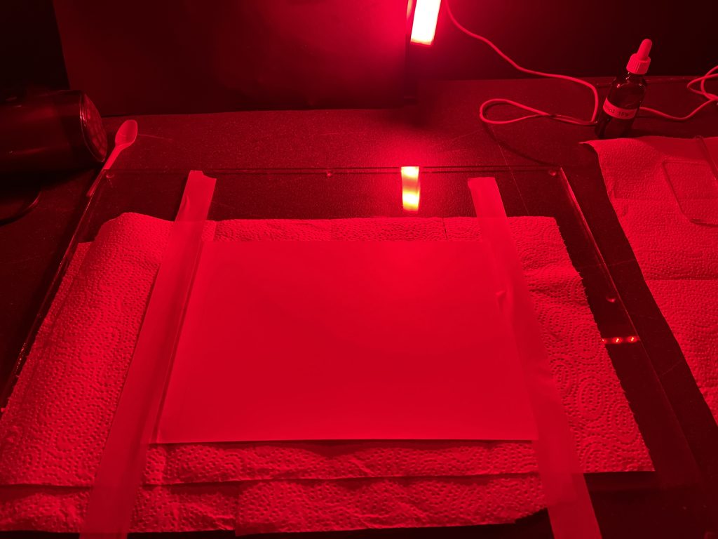 Making Albumen Paper, Berlin, Collodion, Maximilian Zeitler, Wetplate