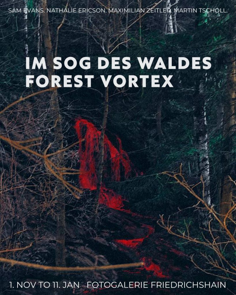 Im Sog Des Waldes Forest Fortex Fotogalerie Friedrichshain
