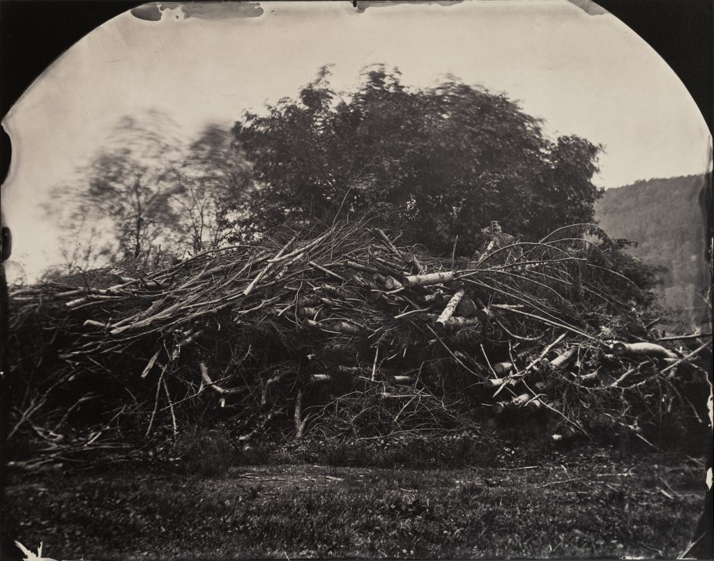 Maximilian Zeitler holocene wetplate saltprint fotogalerie friedrichshain