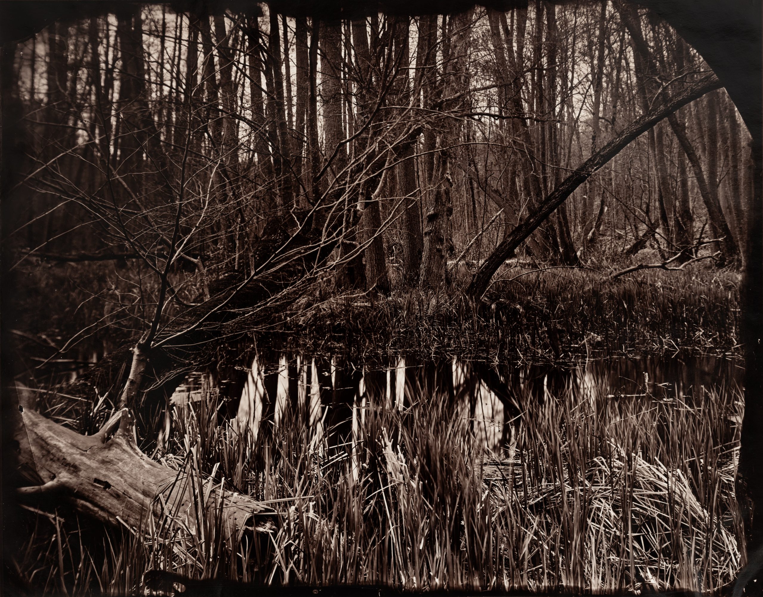 Maximilian Zeitler holocene wetplate kollodiumchlorid fotogalerie friedrichshain