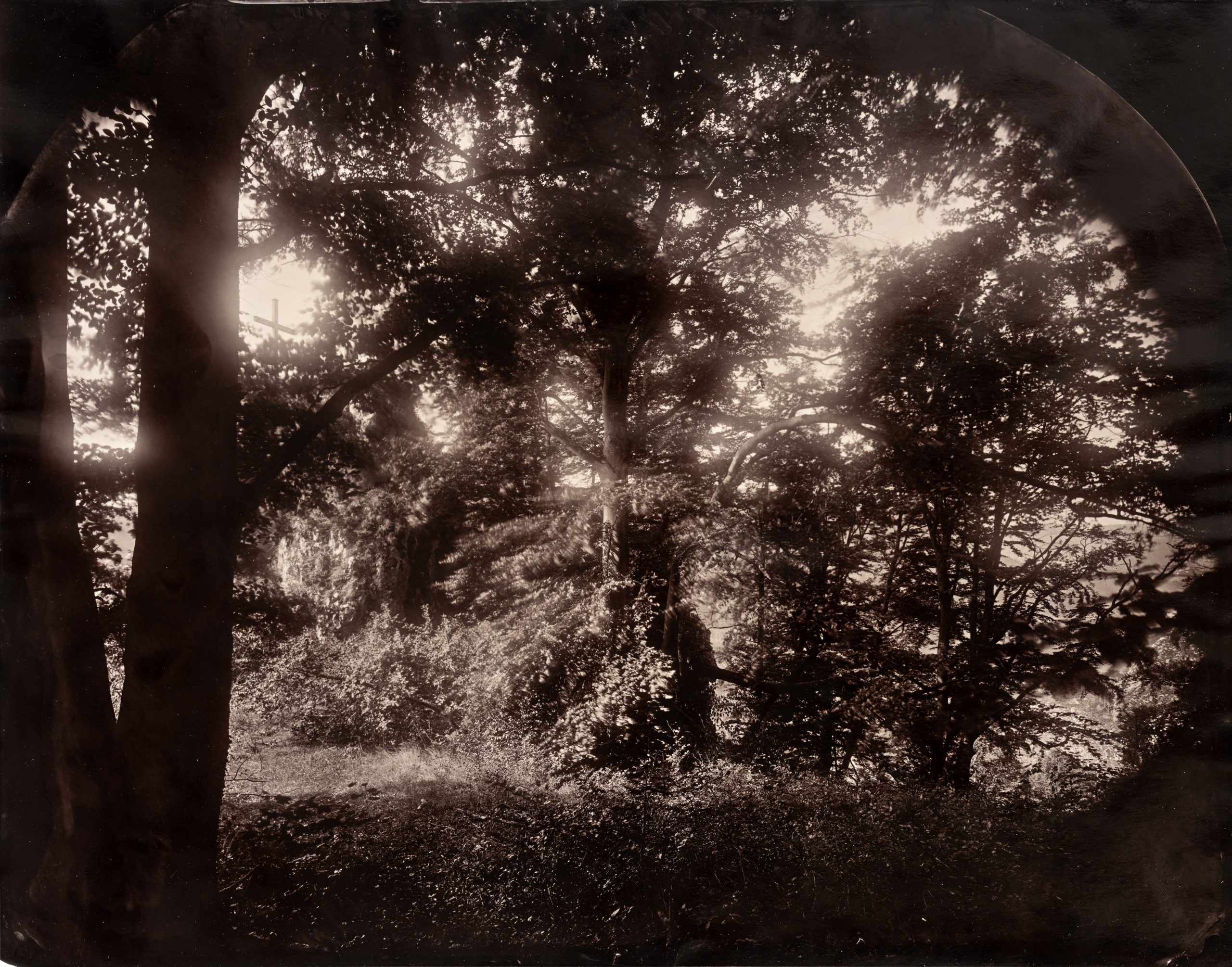 Maximilian Zeitler holocene wetplate kollodiumchlorid fotogalerie friedrichshain