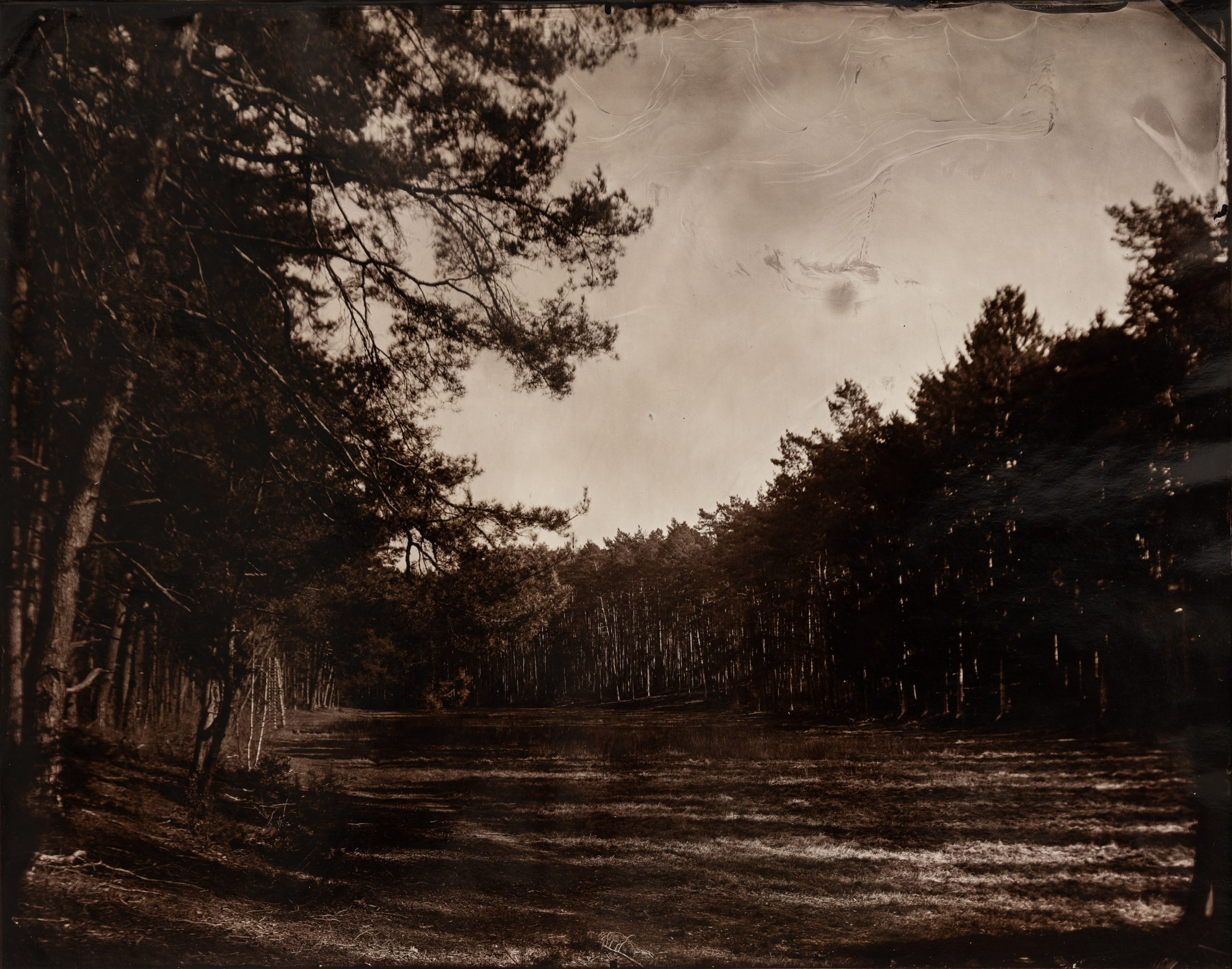 Maximilian Zeitler holocene wetplate saltprint fotogalerie friedrichshain