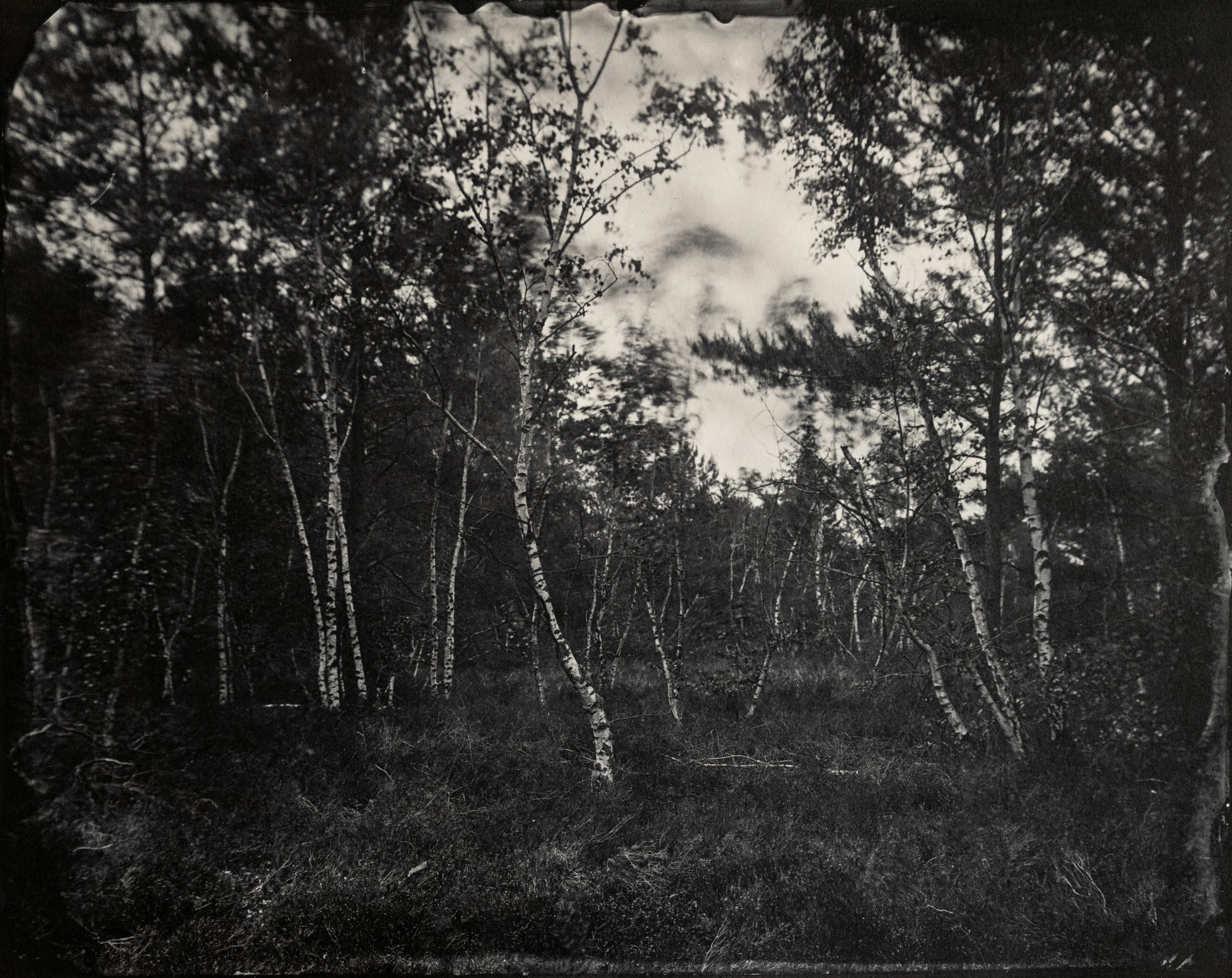 Maximilian Zeitler holocene wetplate saltprint fotogalerie friedrichshain