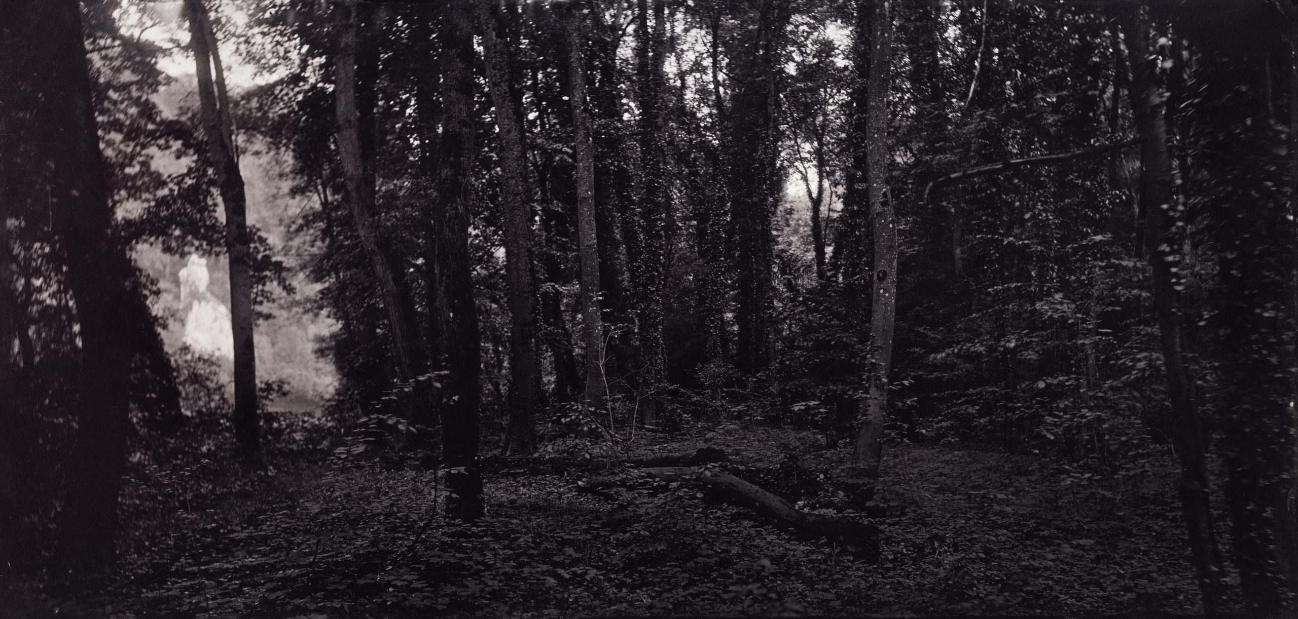 Maximilian Zeitler holocene wetplate saltprint fotogalerie friedrichshain