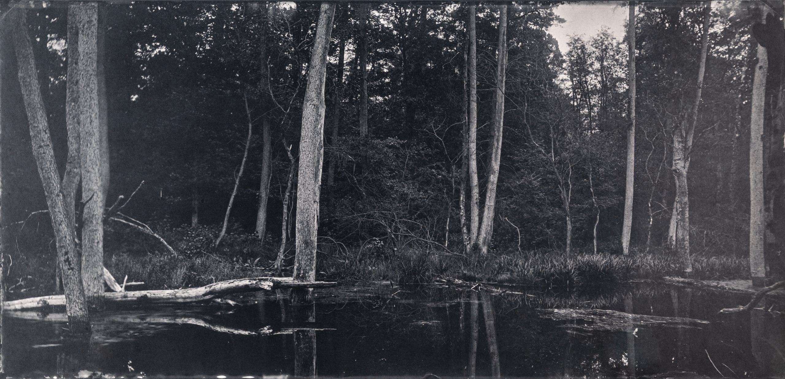 Maximilian Zeitler holocene wetplate saltprint fotogalerie friedrichshain